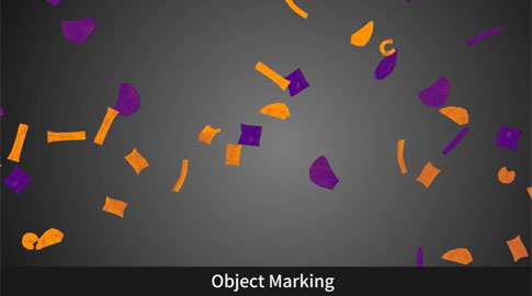 X-Ray-Sorting-Machine (1)