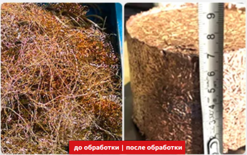 медная стружка